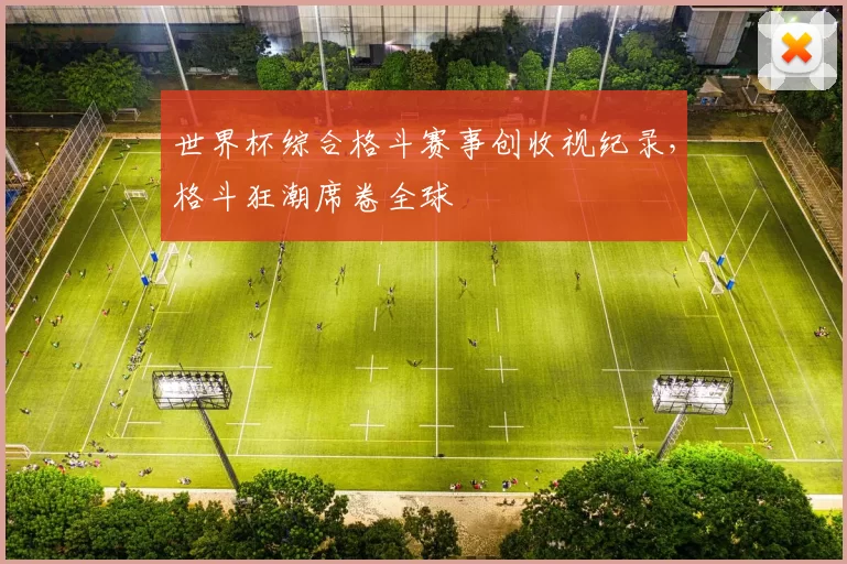 世界杯综合格斗赛事创收视纪录，格斗狂潮席卷全球