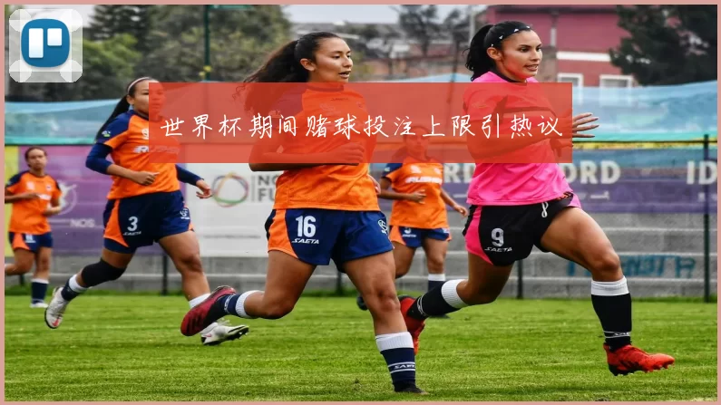 世界杯期间赌球投注上限引热议