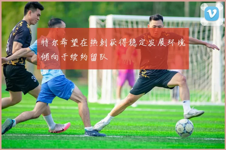 特尔希望在热刺获得稳定发展环境倾向于续约留队