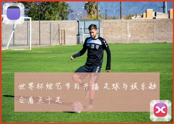 世界杯综艺节目开播 足球与娱乐融合看点十足