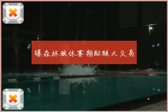 曝森林狼休赛期酝酿大交易