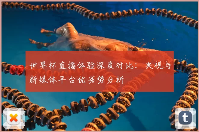 世界杯直播体验深度对比:央视与新媒体平台优劣势分析