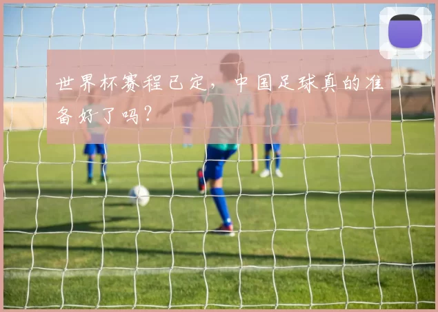 世界杯赛程已定,中国足球真的准备好了吗?